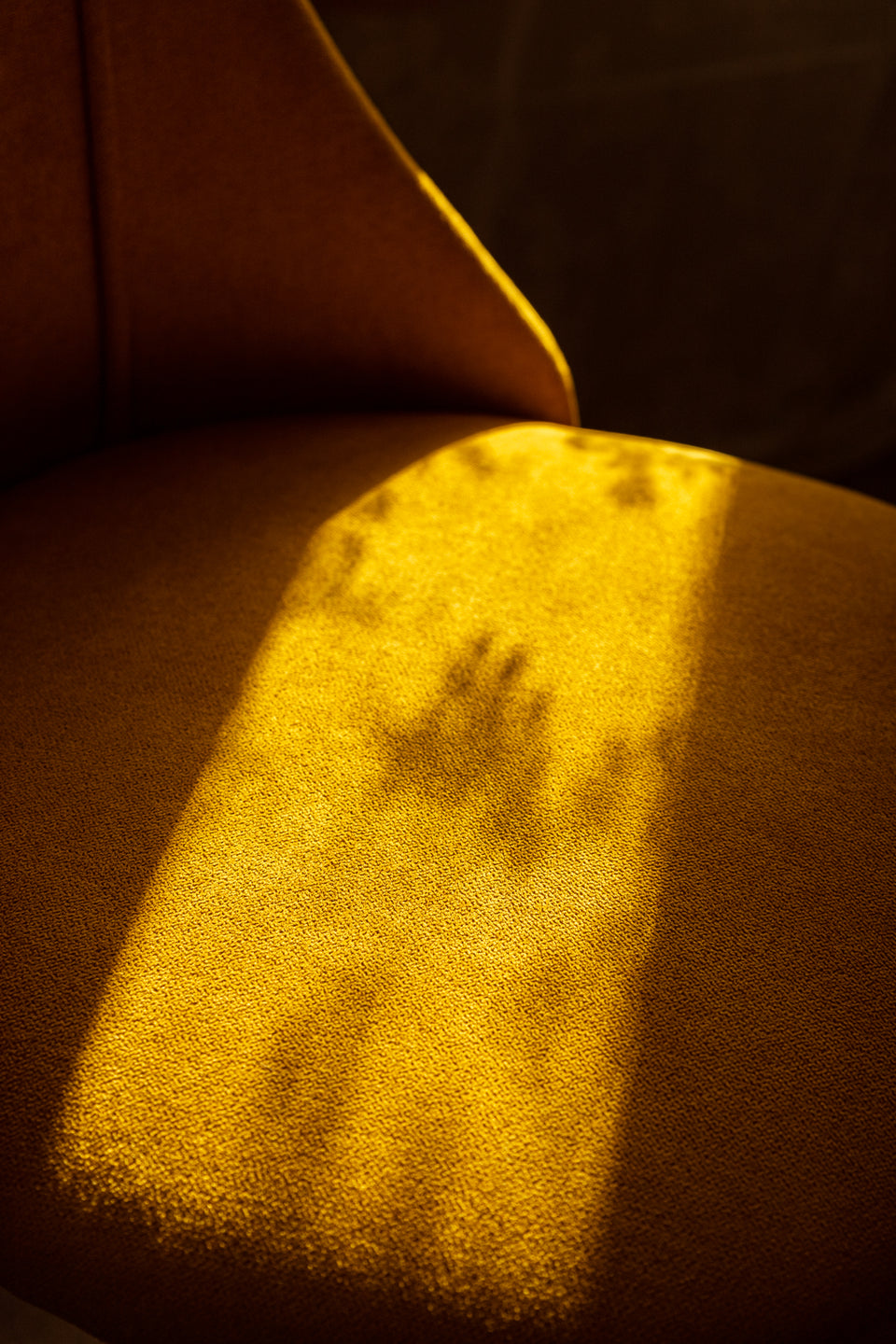 Portrait Studio Ottawa - Sunlight on Brown Chair